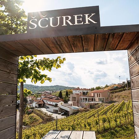 Bed and Breakfast Posestvo Scurek Wine Dobrovo Exterior foto