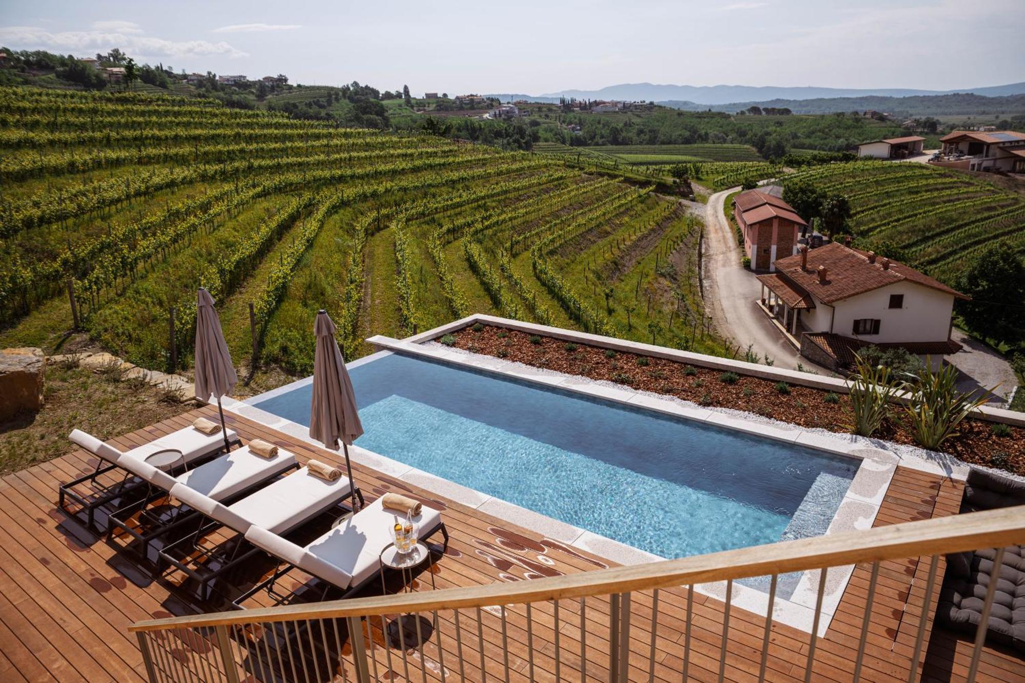 Bed and Breakfast Posestvo Scurek Wine Dobrovo Exterior foto