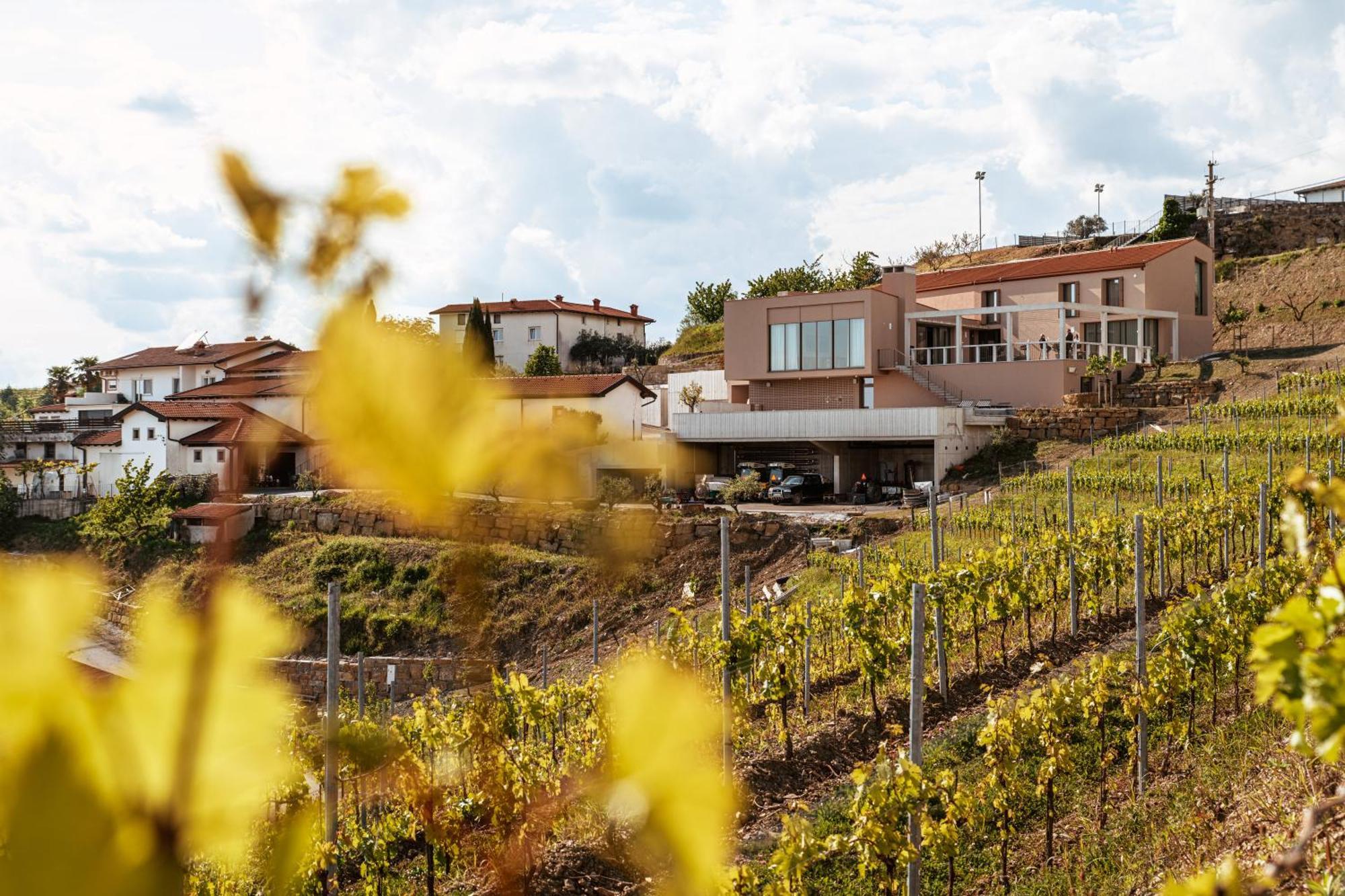 Bed and Breakfast Posestvo Scurek Wine Dobrovo Exterior foto