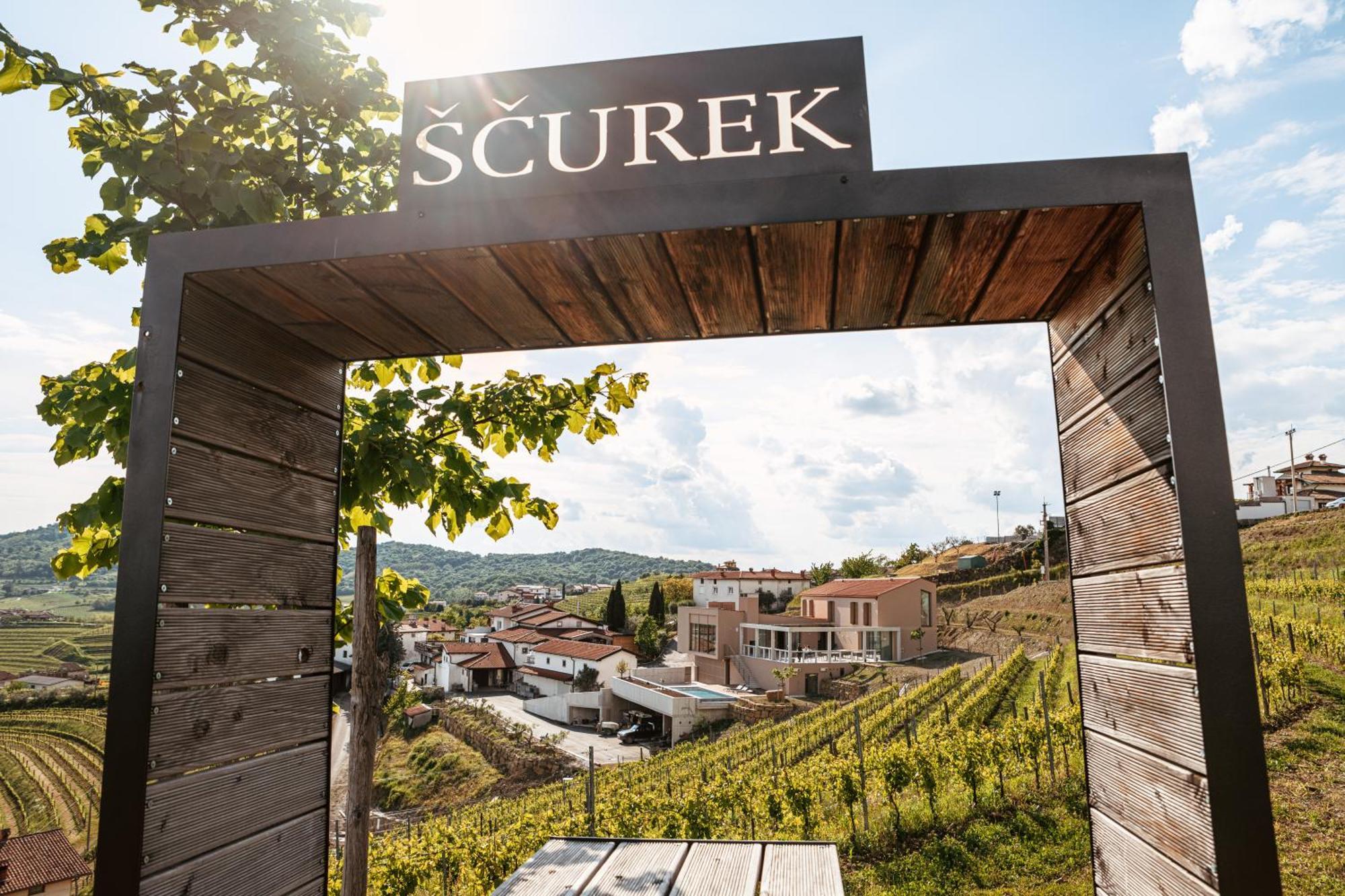 Bed and Breakfast Posestvo Scurek Wine Dobrovo Exterior foto